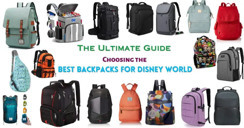 Best backpack for disney world