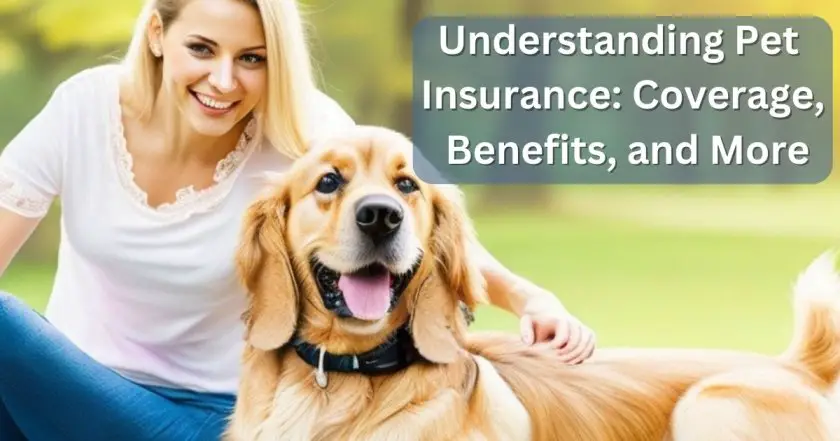 Understanding Pet Insurance