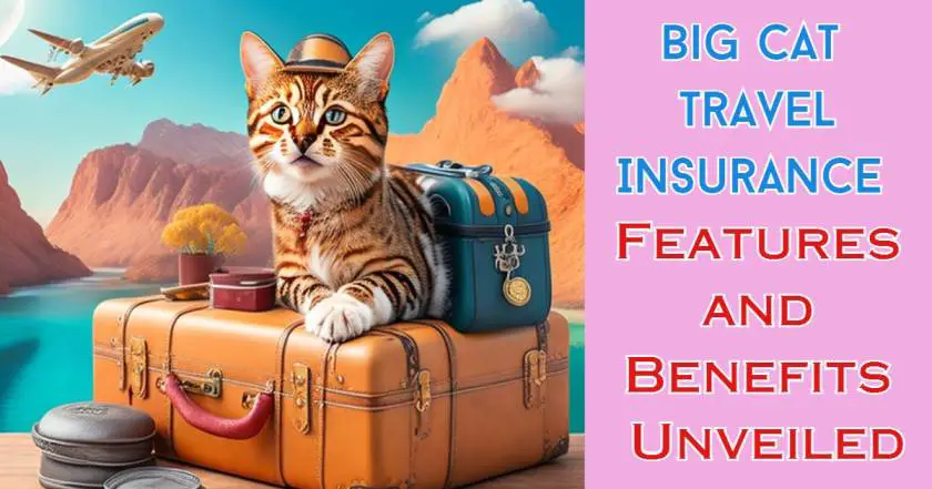 Big Cat Travel Insurance