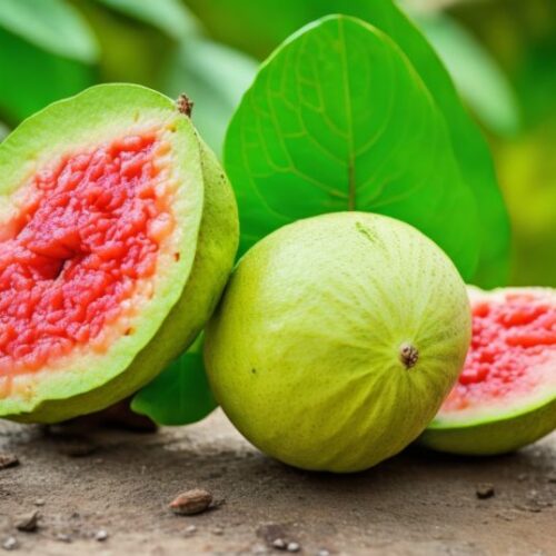 Guava Pineapple Juice Recipe Refreshing Tropical Blend