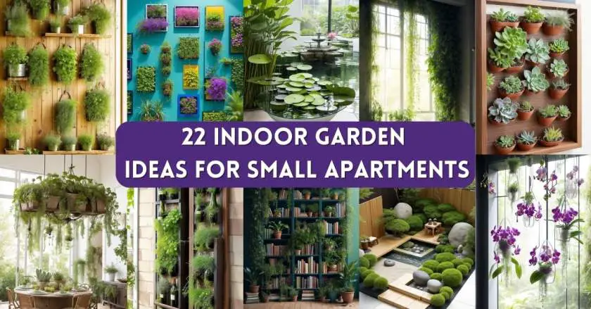 Indoor Garden Ideas for Small Apartments