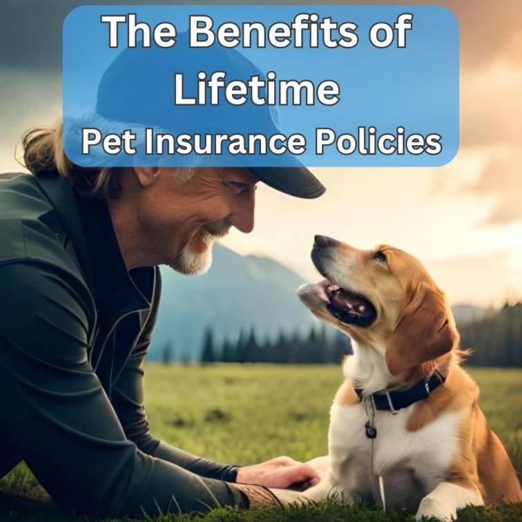 Lifetime Pet Insurance Policies