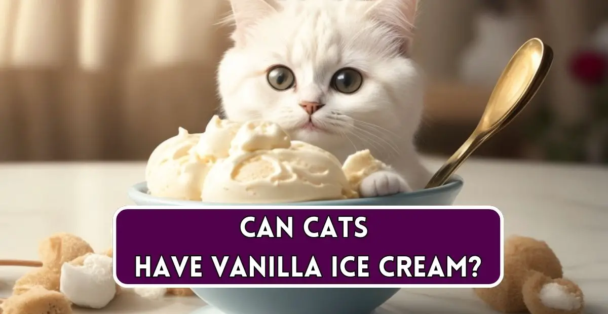 Can Cats Have Strawberry Ice Cream?