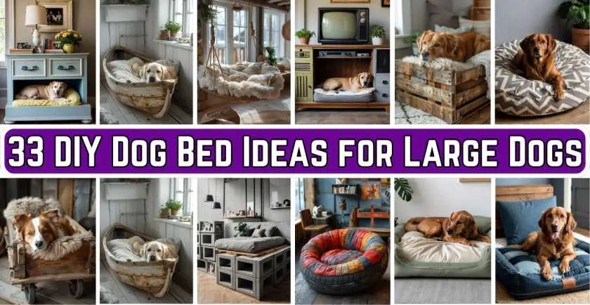 DIY Dog Bed Ideas for Large Dogs