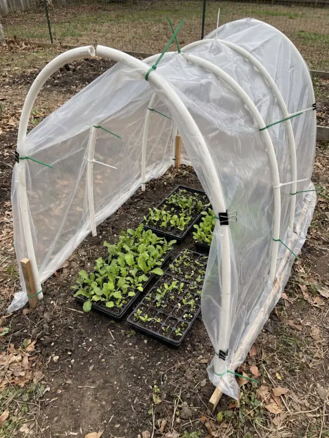 Mini Greenhouse Ideas