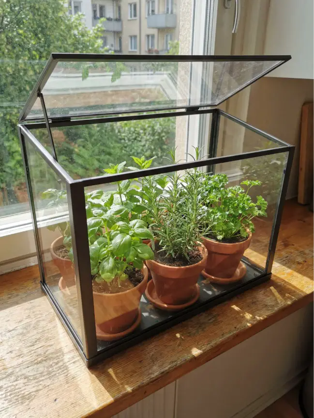 Mini Greenhouse Ideas
