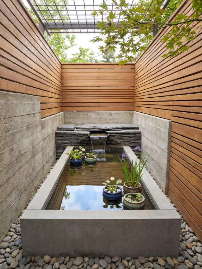 Backyard Pond Ideas