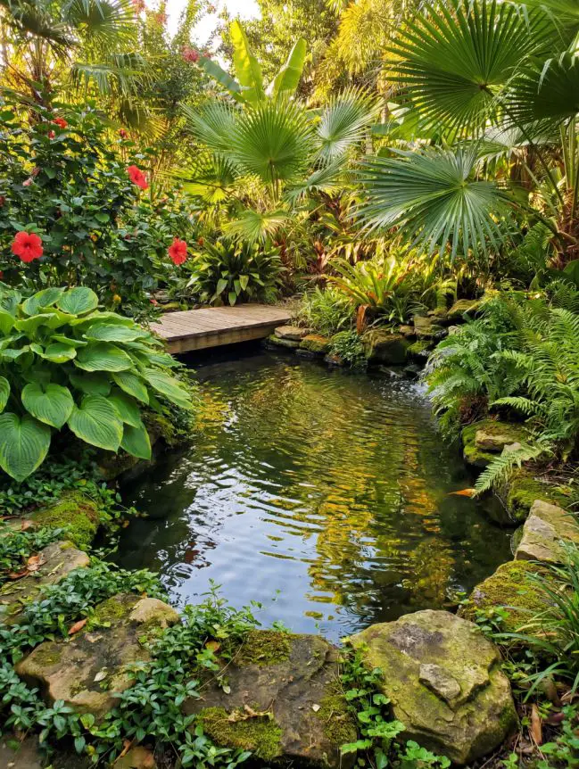 Backyard Pond Ideas