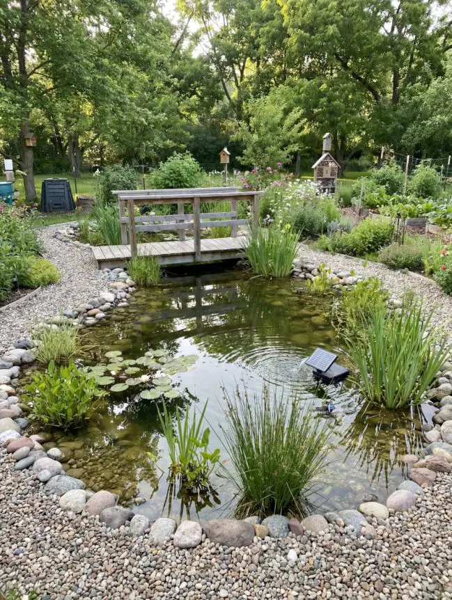Backyard Pond Ideas