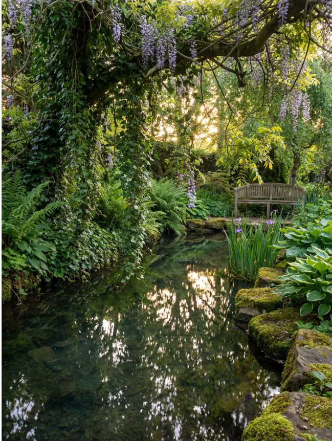 Backyard Pond Ideas