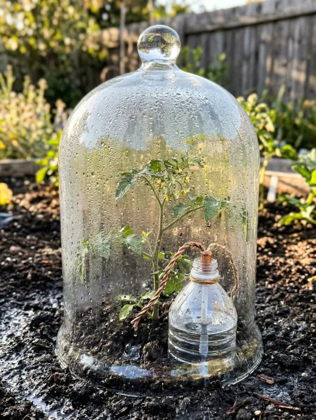 DIY Gardening Secrets