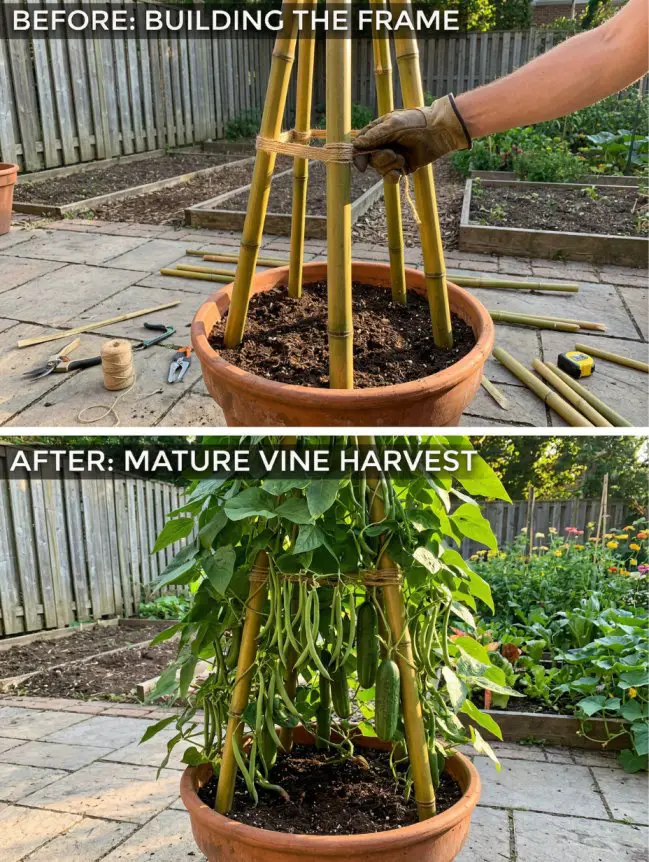 DIY Gardening Secrets