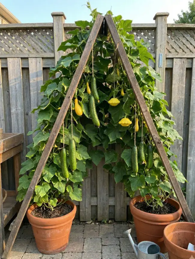 DIY Gardening Secrets